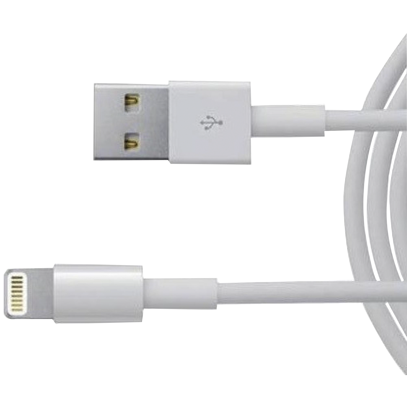 Buy Apple Type A to Lightning 3.3 Feet (1M) Cable (Sync and Charge